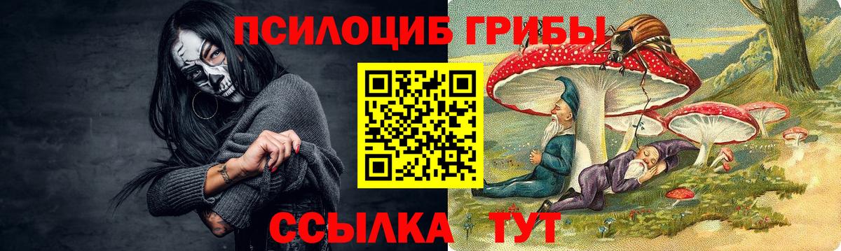 Нижний Новгород  Псилоцибиновые грибы MAGIC MUSHROOMS  где найти наркотики  Вход с VPN  Псилоцибиновые грибы мухоморы 
